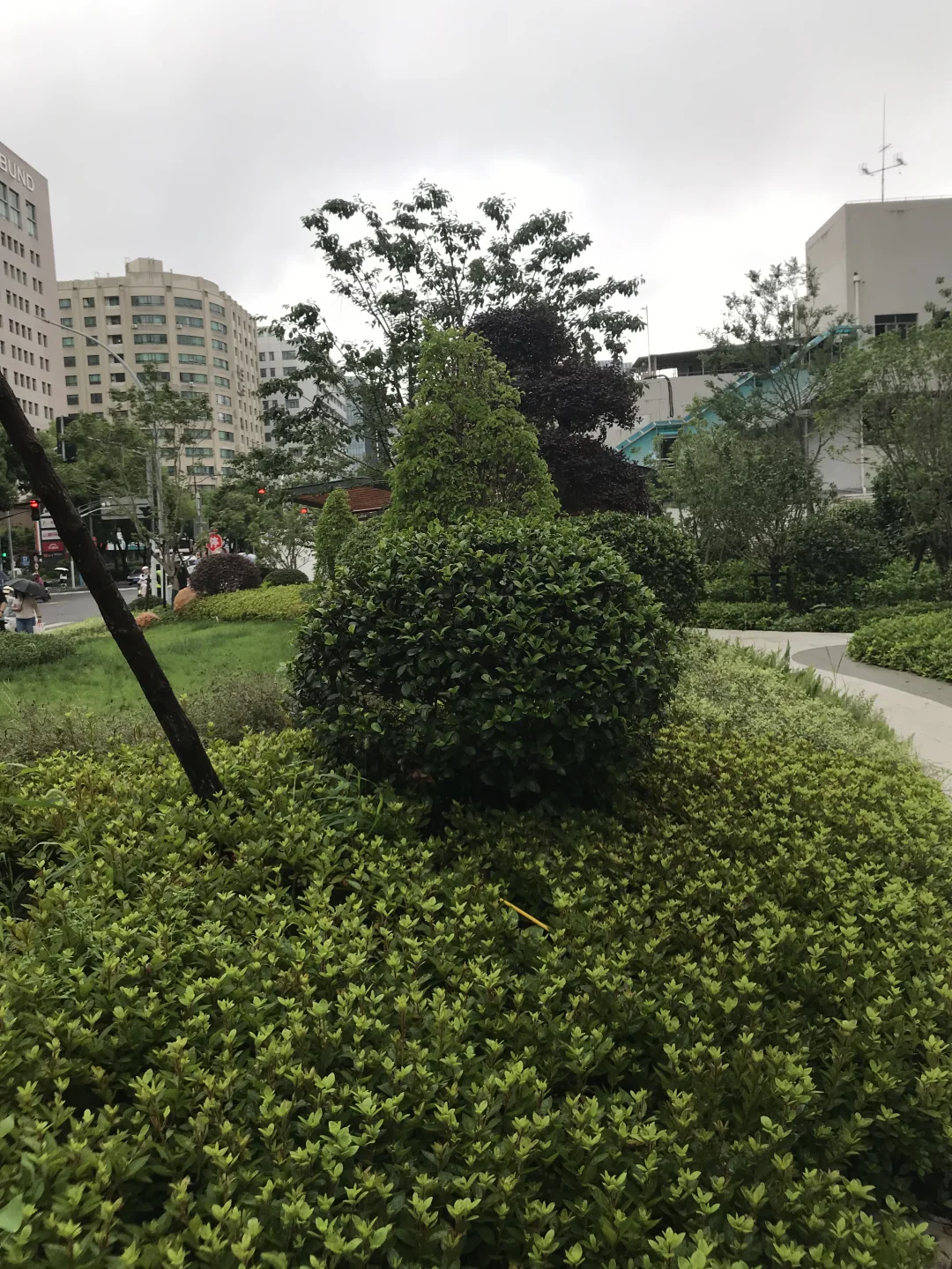 这造型有点意思