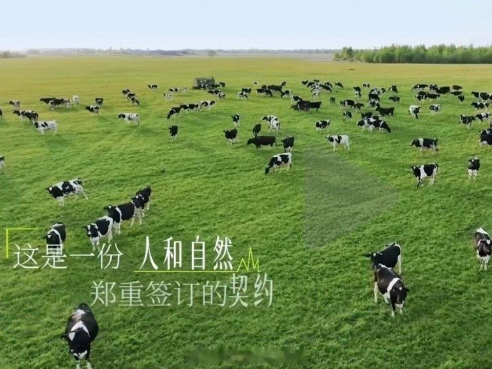 飞鹤直播治好了宝妈的选奶焦虑 之前选奶粉踩过不少坑，要么奶源信息模糊，要么宝宝喝
