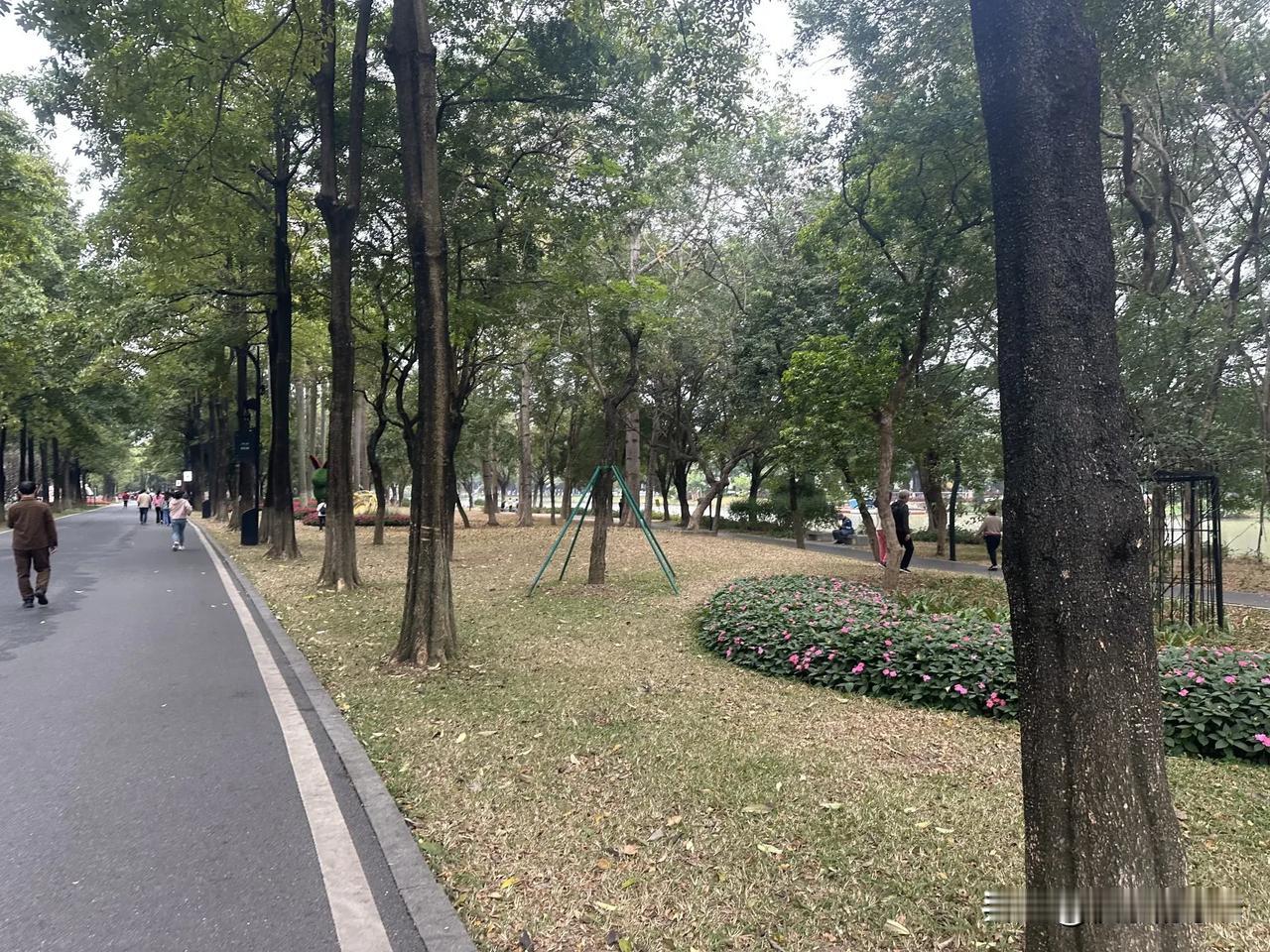 我觉得都重要，就像问“呼吸和吃饭哪个更重要”一样。

亲情是生命的底色，是我们出