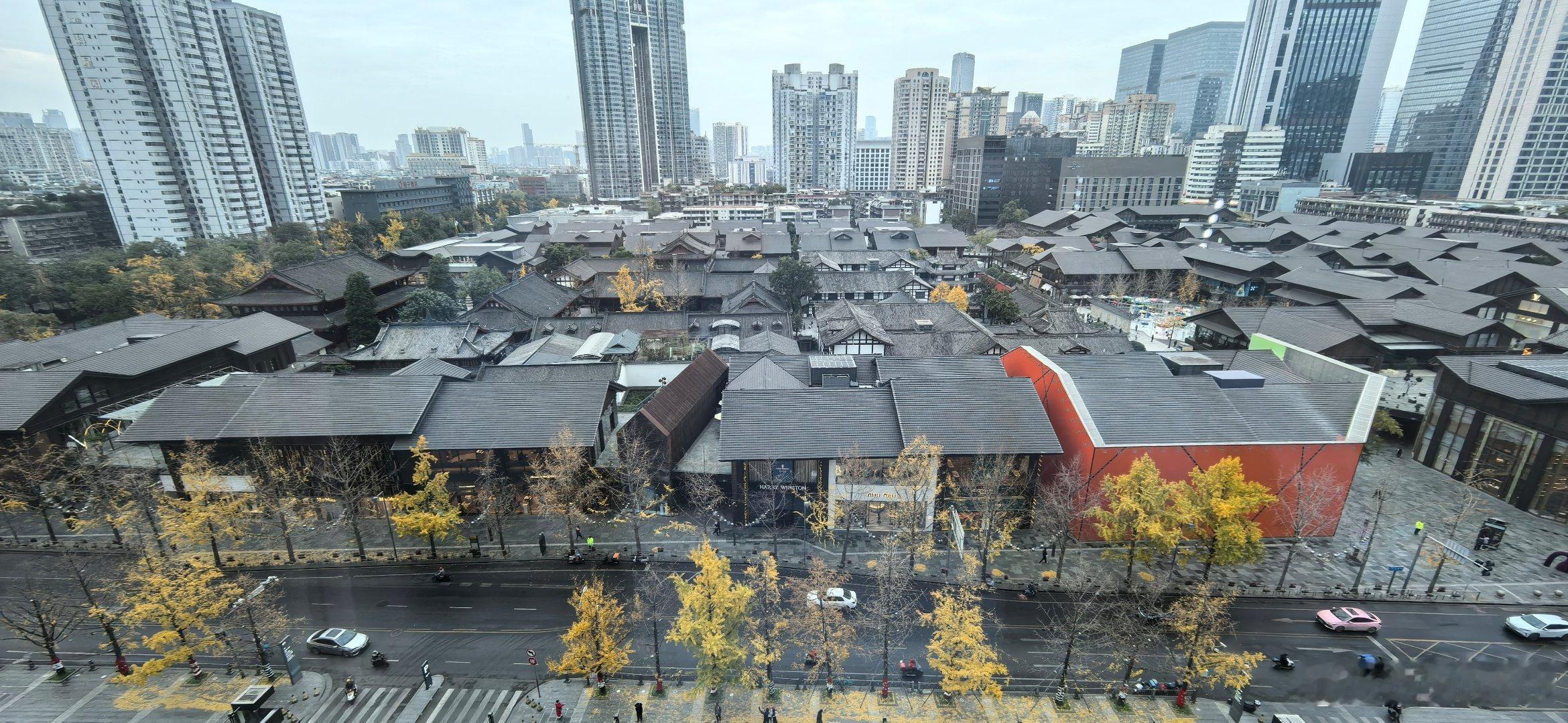 太古里 初冬的成都太古里，大慈寺的银杏落黄，路边装扮出圣诞氛围 