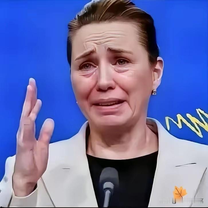 丹麦政府痛恨中国

丹麦的外交大臣拉斯穆森:过去不允许中国对格陵兰岛投资，现在不