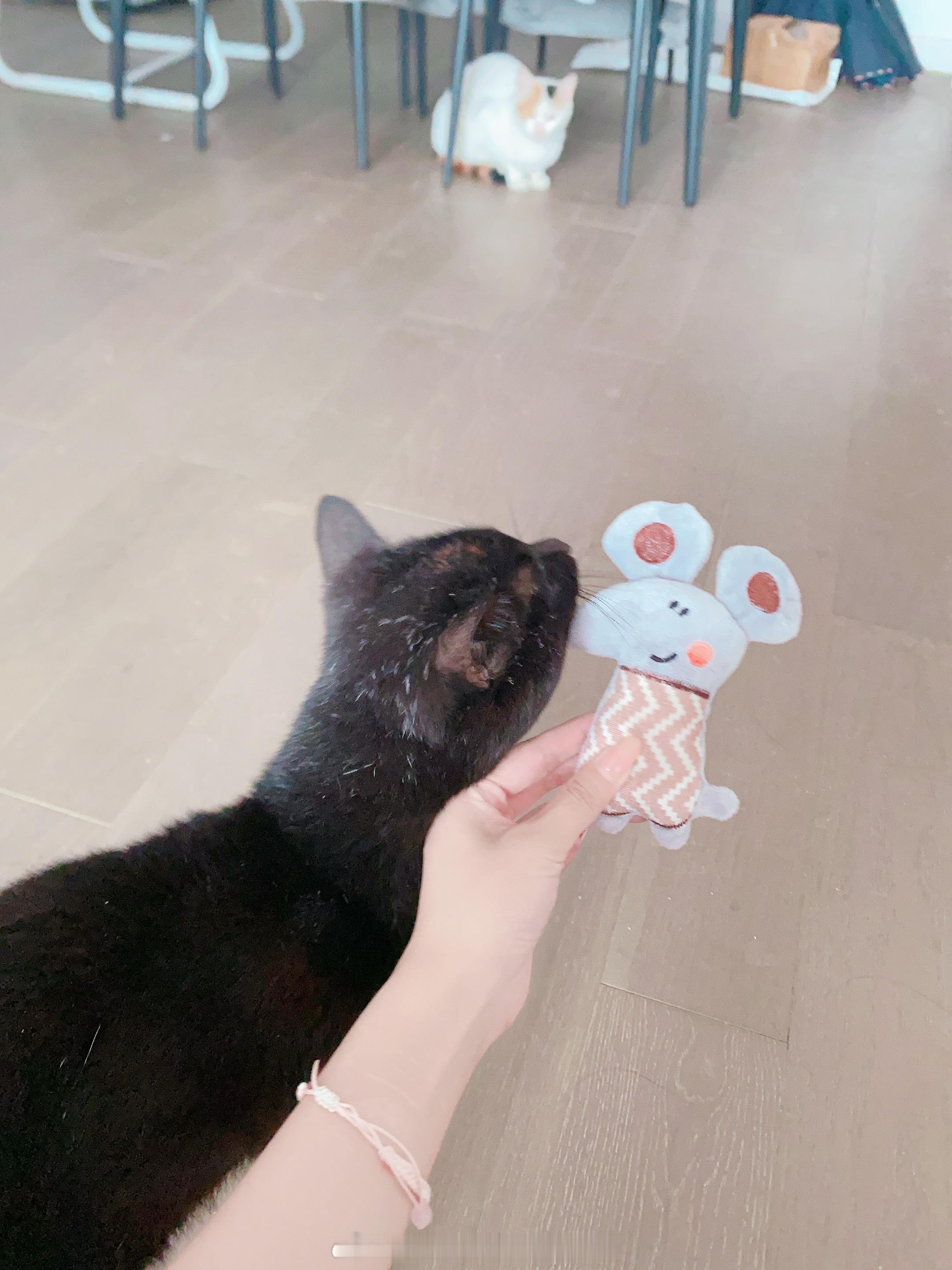 买了个像图图的小玩具 