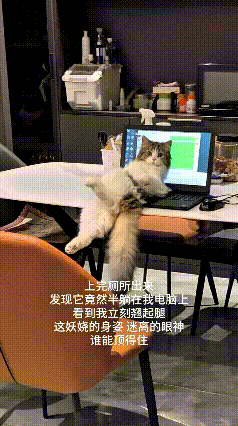 哎呀，这个视频可把我笑坏了！主人就起身去上个厕所，就这么一小会儿功夫，家里的小猫