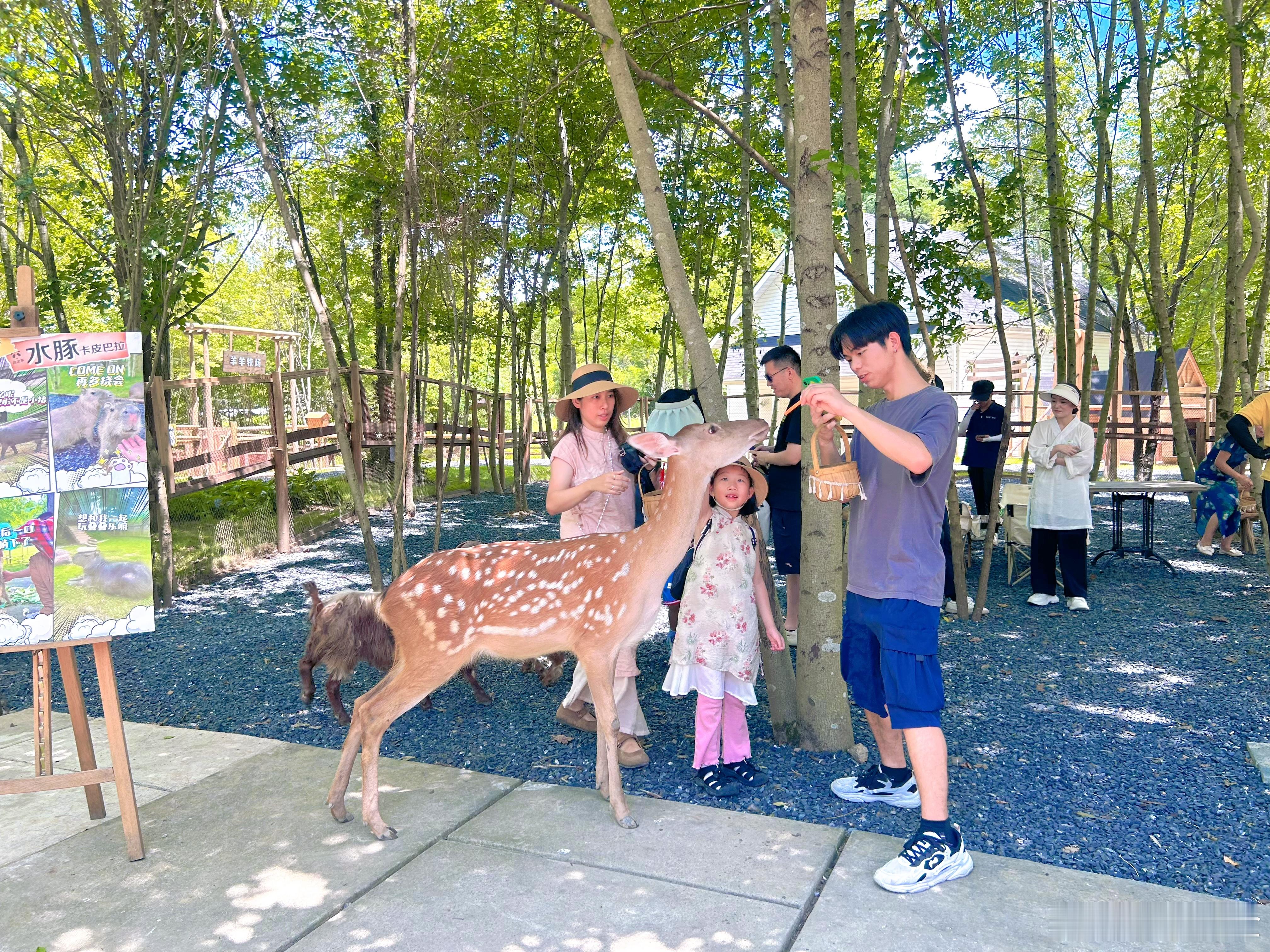 状元休宁如愿齐云  自由家黄山营地以营地度假为核心，通过个性化产品的研发和玩家平