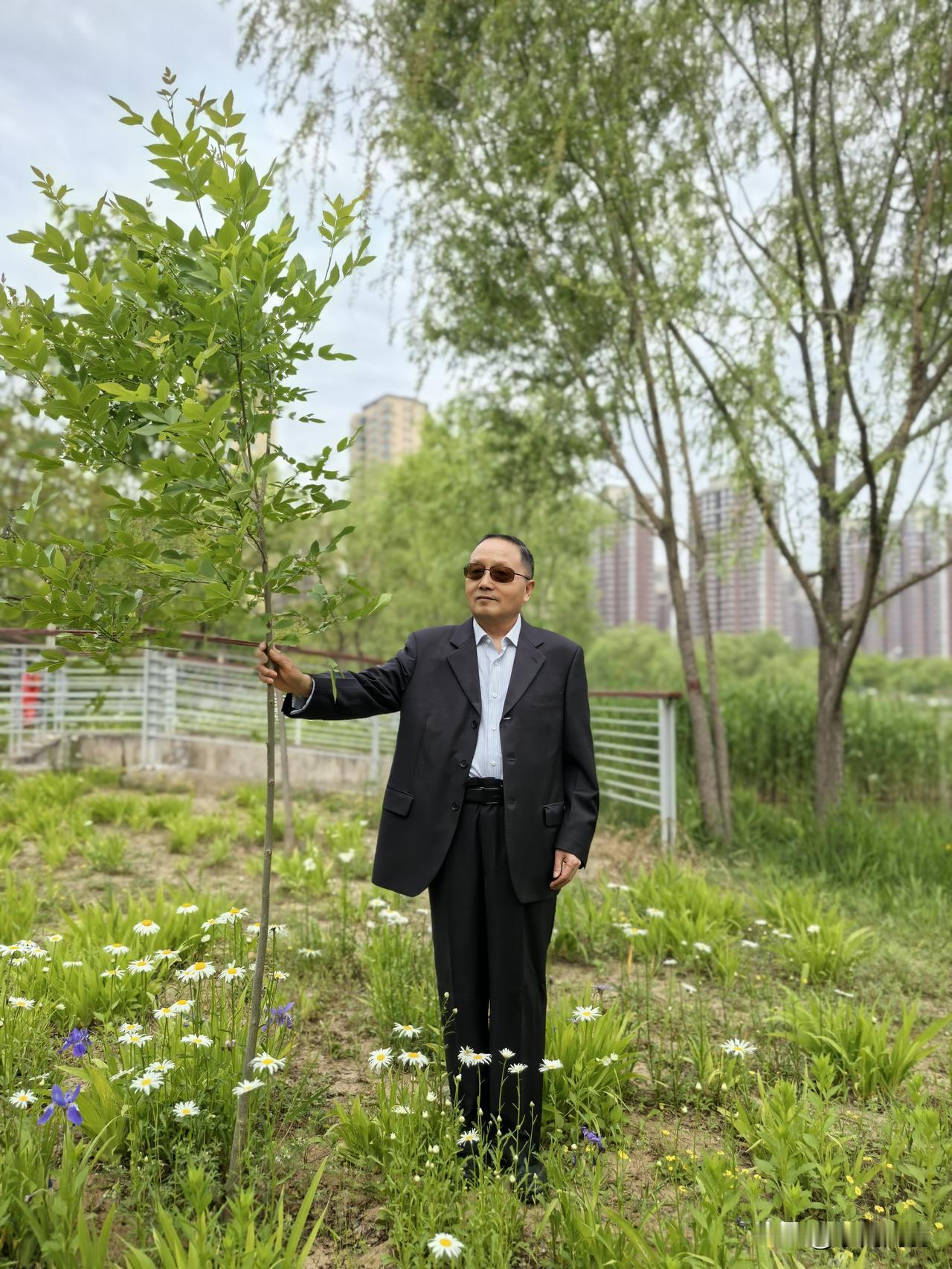 七绝.大滨菊吟
    符进朝
素瓣凝霜立浅冈，
金芯一点溢清香。
风姿淡雅无娇
