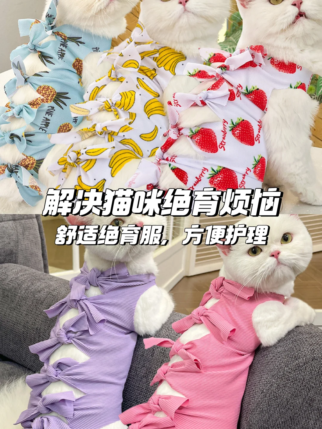 猫咪绝育服😻必备好物