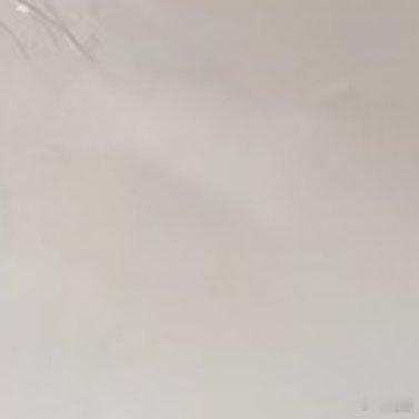每日一善[超话]🦋阳光信用 🌈784 指🦌hui生活本不苦，苦的是我们欲望