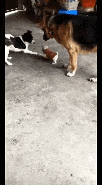 看有一个强大的后盾多么重要