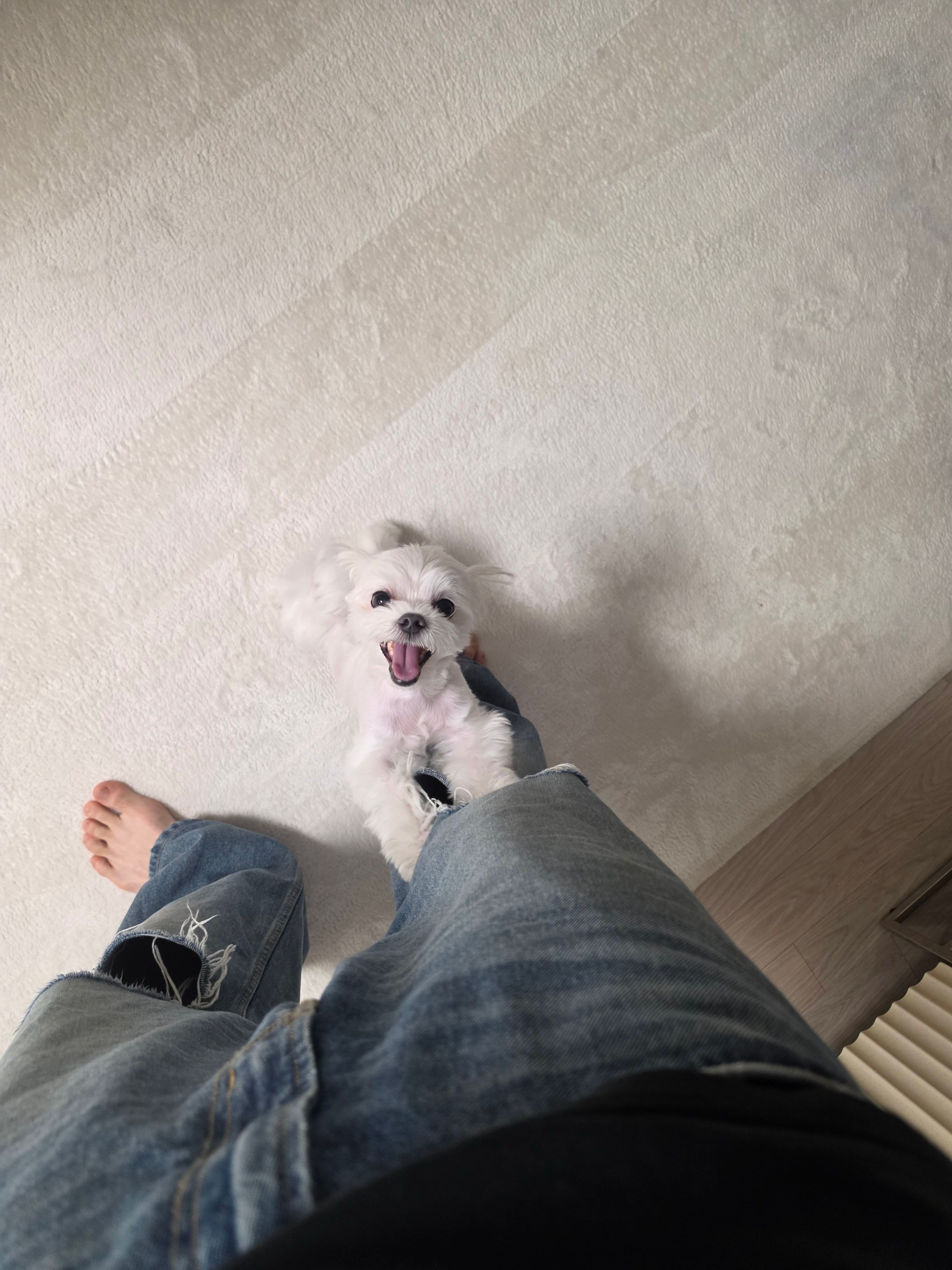 我看见郑成灿就跟冬天一样