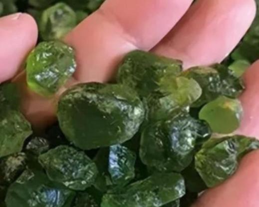 1963 年夏天，开国元帅贺龙的独子贺鹏飞，迎来了人生一次重要考验，他一心报考清