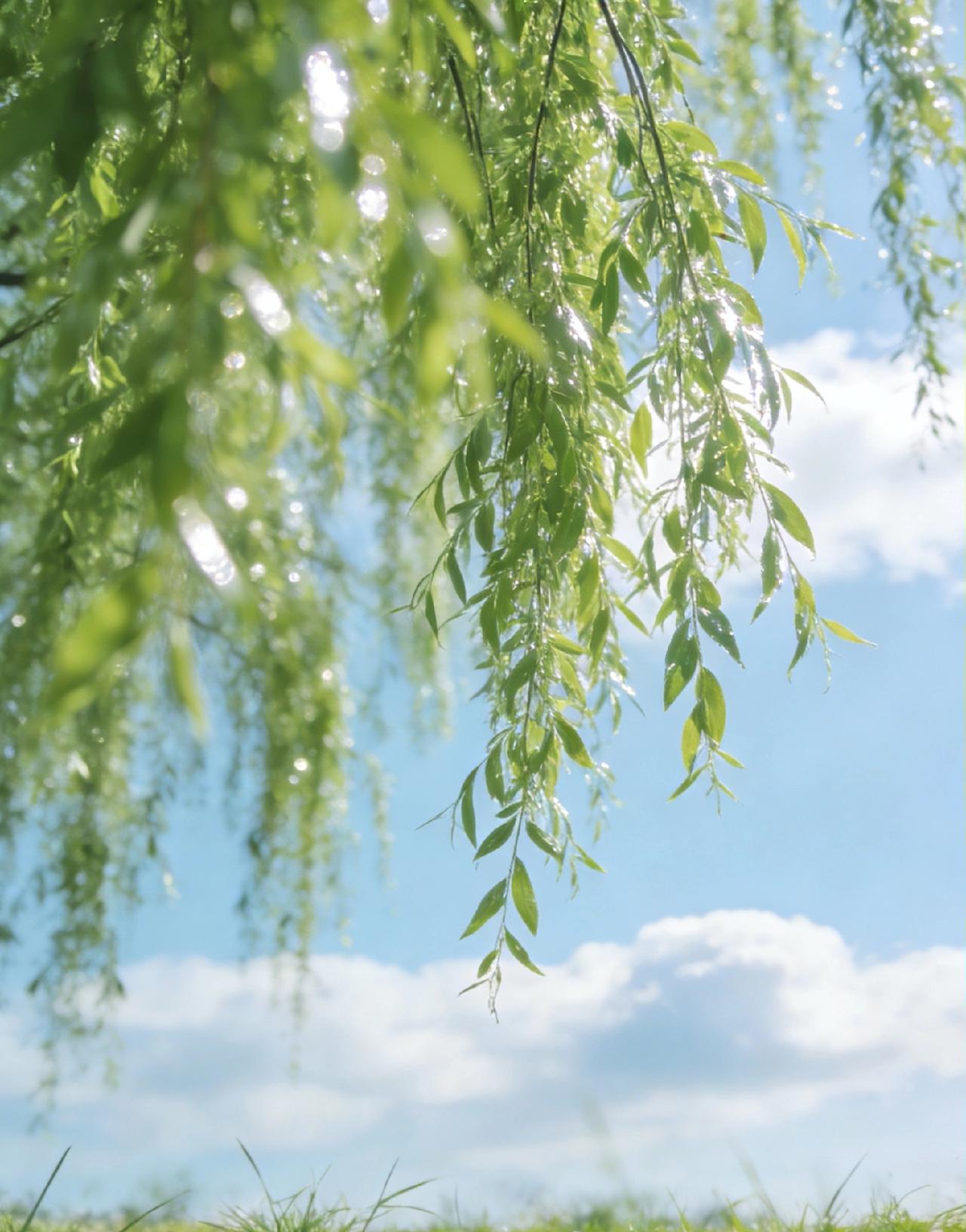 人生从不是一路坦途，有春风得意，也有风雨兼程；有晴空万里，也有阴霾密布。真正成熟