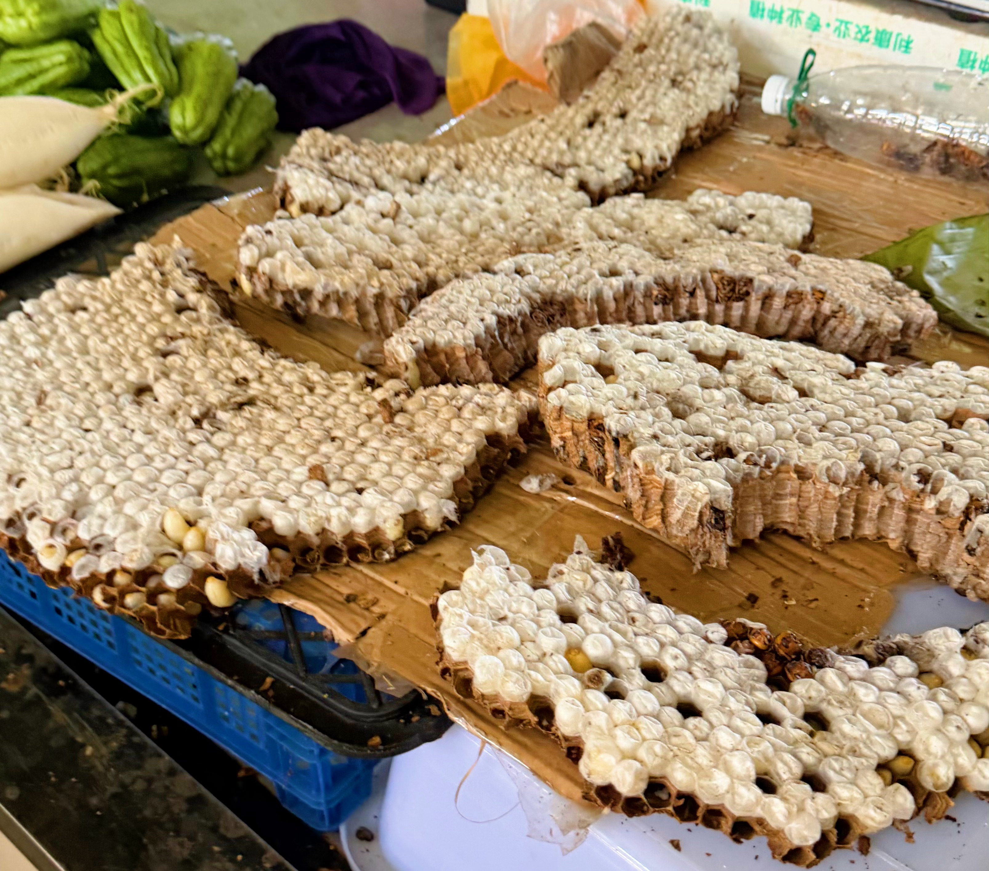 逛菜市场看到活蜂蛹，爱吃蝉蛹的小孩竟然不害怕让我买些炸着吃。这也是第一次自己炸蜂