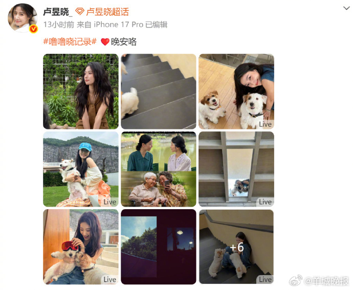 #卢昱晓道歉#【女星卢昱晓发布《给阿嬷的情书》屏摄引争议，本人发文道歉：伤害电影