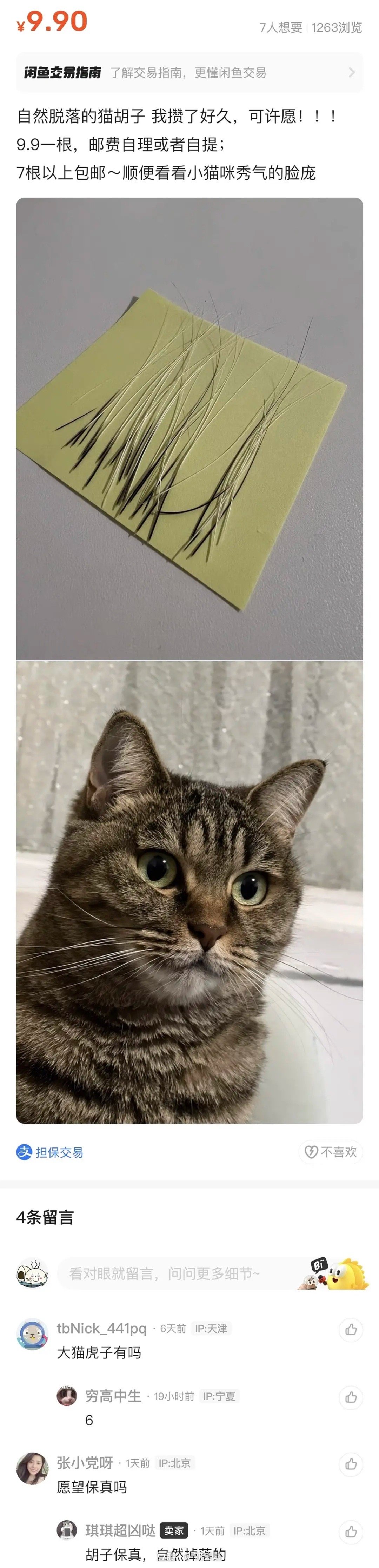 哈哈哈是时候让他自己去赚猫粮钱了 ​​​