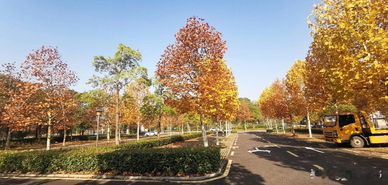 冬月游园
暖阳普照万物美，
微风抚叶蝶相随。
幽园何处无诗意，
湖水清莹鸭戏水。