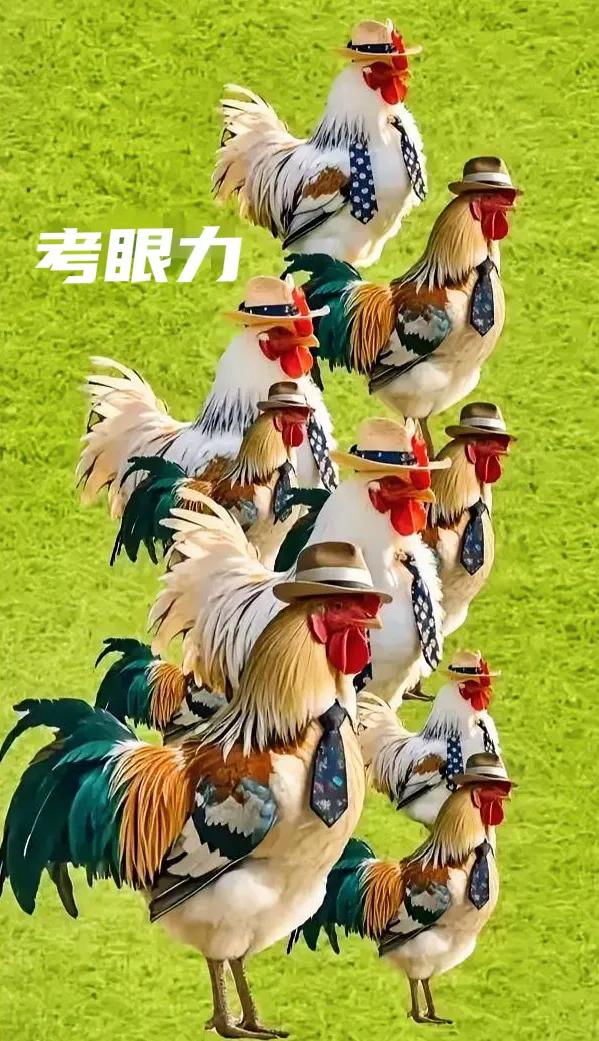 考考眼力，共有几只？
考眼力小测验 找不同练眼力 晒晒眼力题 眼力小测试分享 一