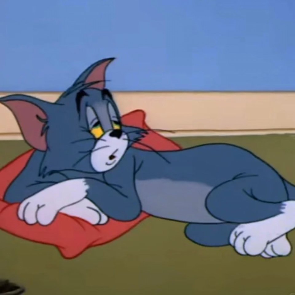 起太早我就这样😪 