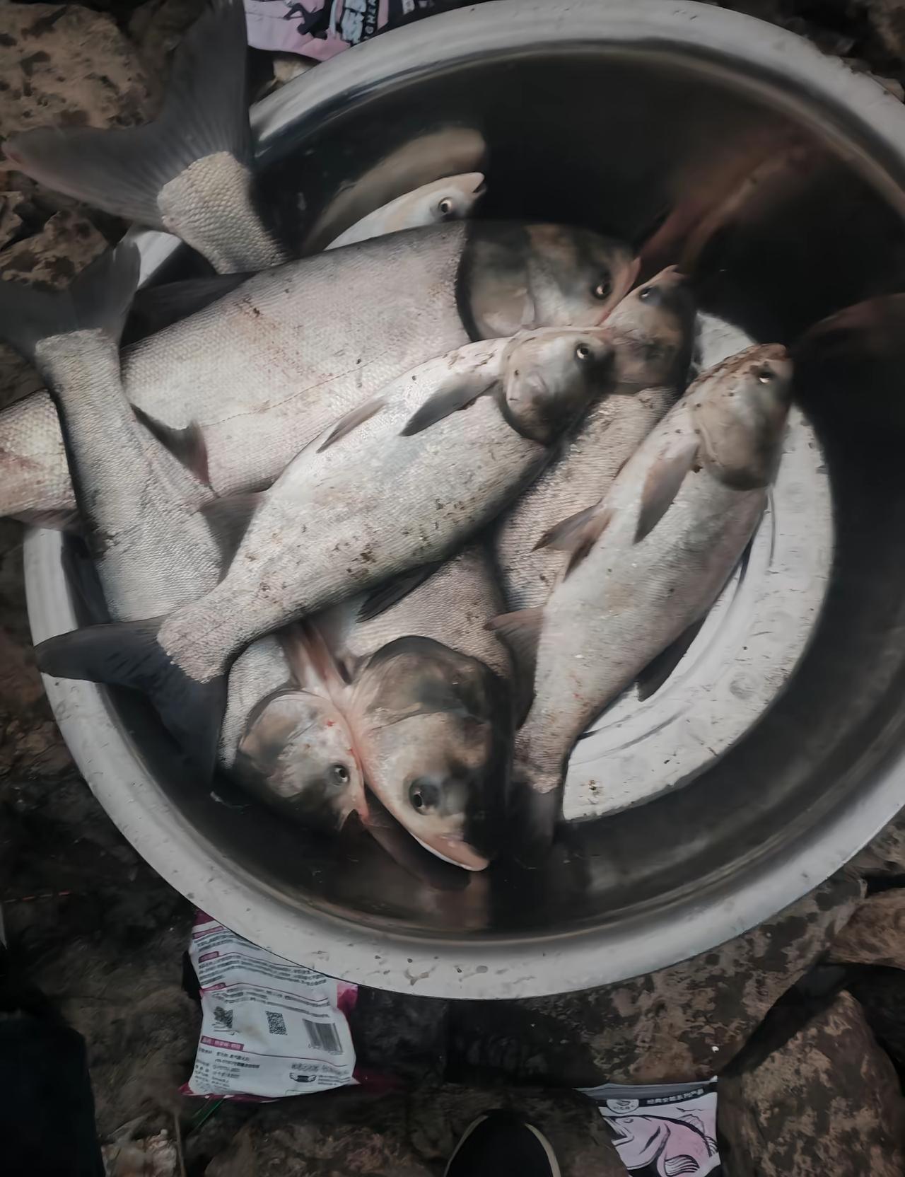 我干了二十年媒体，今天看到这份垂钓报告，真是哭笑不得。
农业农村部的数据说，20