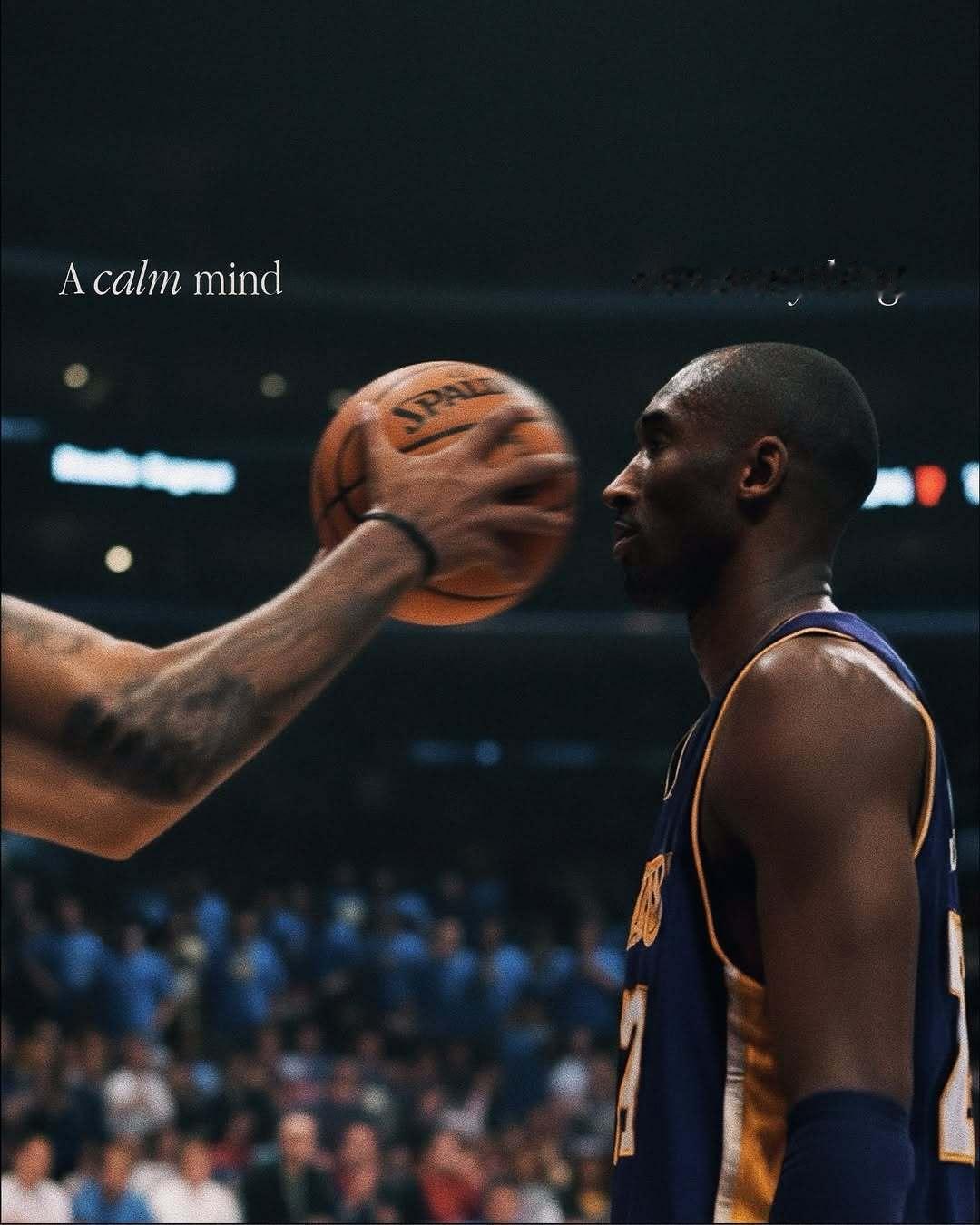 A calm mind sees everything - 🏀 🐍 ​​​