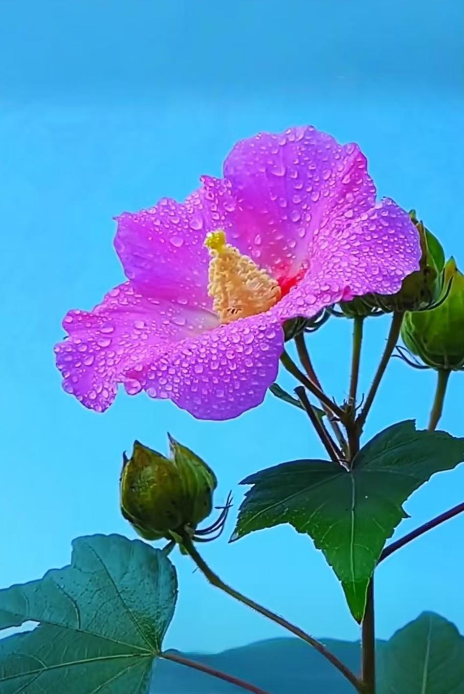上联：读懂人生冷暖，对下联上联：读懂人生冷暖，下联：看透世态炎凉。（图片来自网络