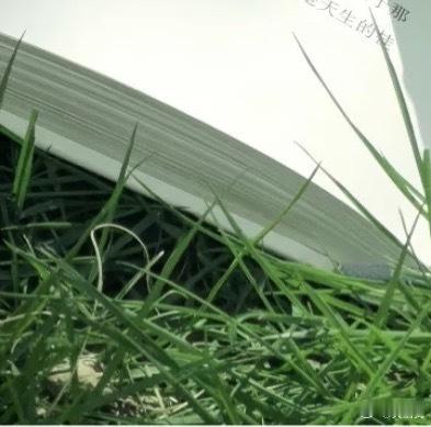 0000百香果种植方法如下：一、环境要求：百香果适宜在温暖湿润的环境生长，一般温