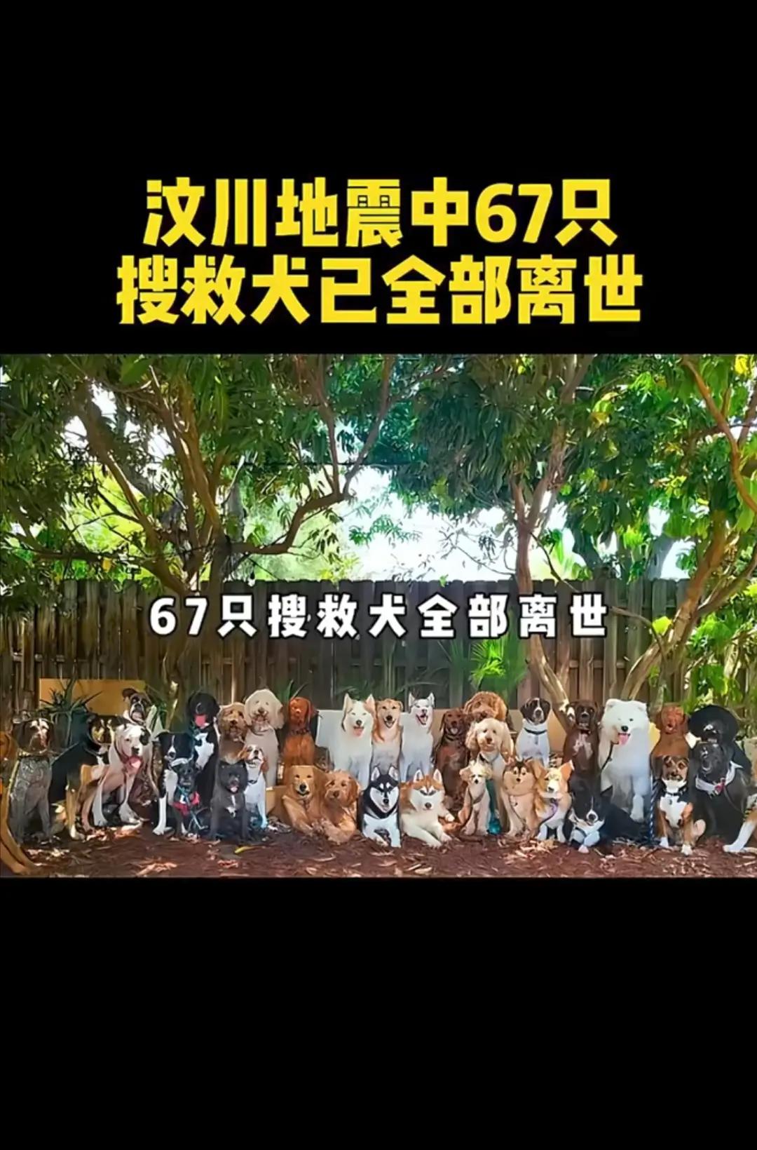 无名英雄，这个世界记住它们来过，而且干了一件无与伦比的事