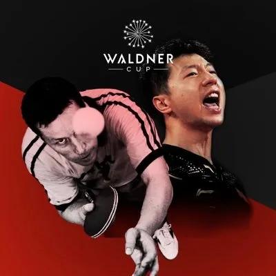 马龙替换刘国梁，现身“瓦尔德内尔杯”宣传海报！
据悉，瑞典名将瓦尔德内尔计划搞一