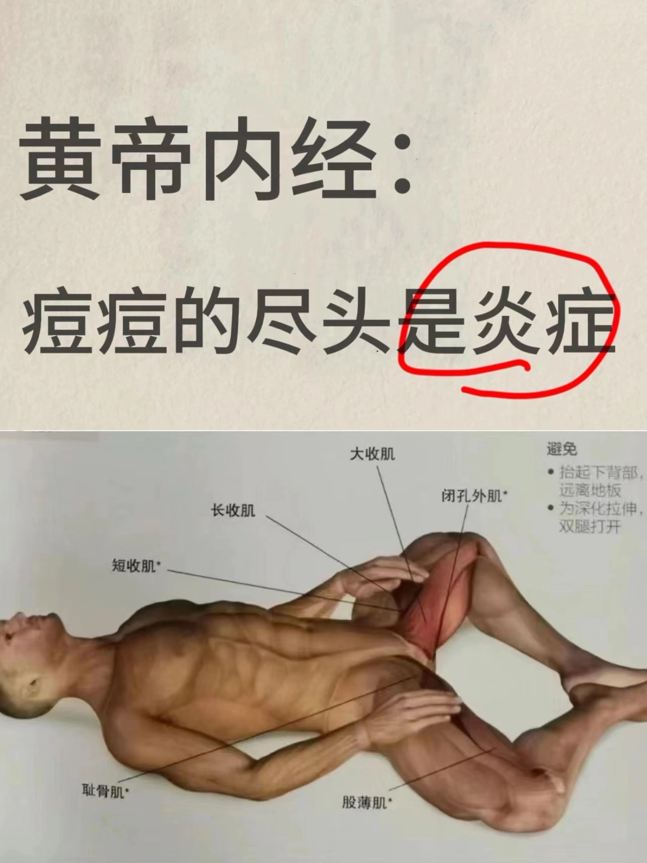 痘痘的尽头就是炎症，得内调想要有效祛痘，内调是关键，而且成本并不高，但需要自律、