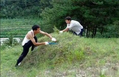 坟头上的草，到底能不能拔？拔了之后会怎么样
 
不少人不懂上坟的老规矩，无意间做
