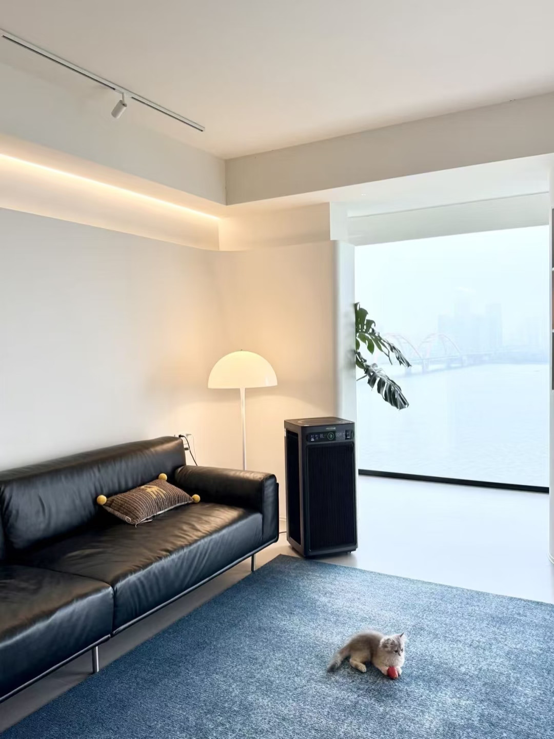 200W 装 135 平，净化器终结两年甲醛烦恼！