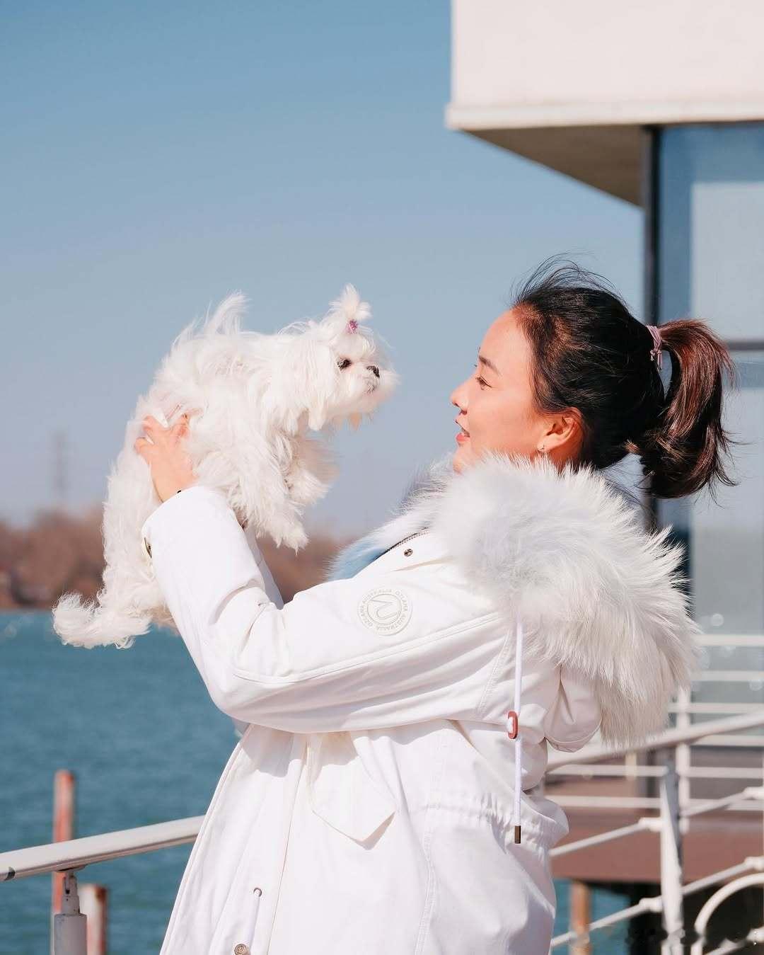 WTA的球星谁是狗🐶奴？WTA众美女很多都养狗🐶，像卡琳斯卡娅和科斯秋克，狗