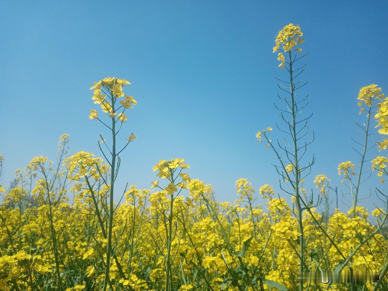春雨贵如油，好雨知时节
昨晚二零二六年二月十六日的一场雷阵雨
滋润了大地
今天二