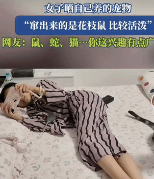 姑娘你这兴趣有点广啊！，鼠，蛇，猫都养齐了……