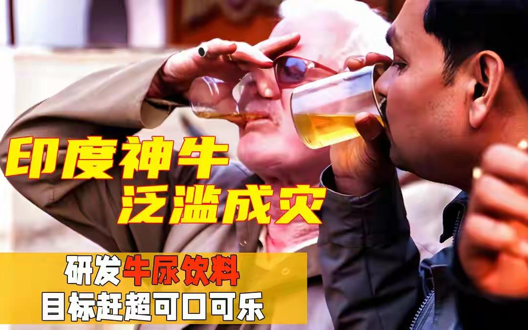 用一句话经典概括周边各国：
一、印    度--人至贱则无敌
二、日    本-