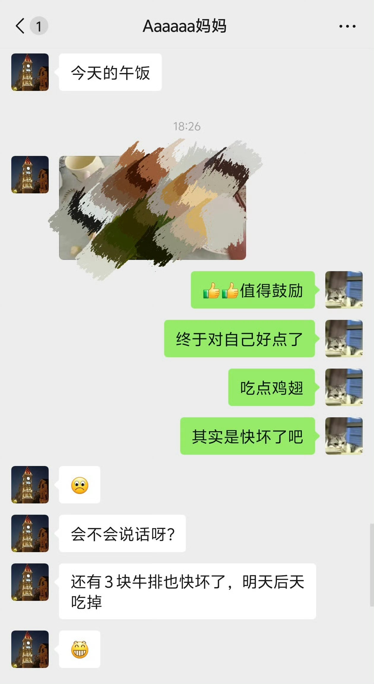 真是劝不动这个猫。（已阻止她继续吃快坏的食品） ​​​