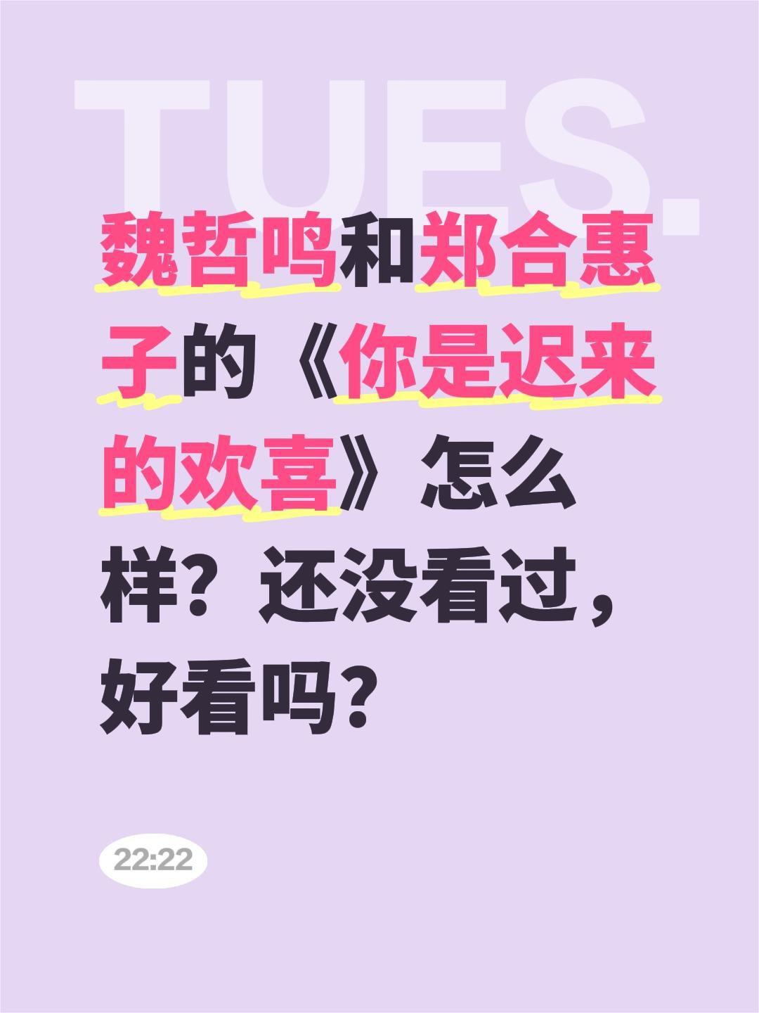 魏哲鸣和郑合惠子的《你是迟来的欢喜》怎么样？还没看过，好看吗？魏哲鸣 郑合惠子 