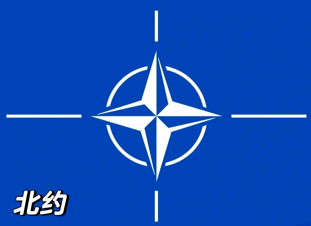 北约准备下场了！
5月19日，据美国彭博社消息，美伊临时停火后，北约正式放出关键