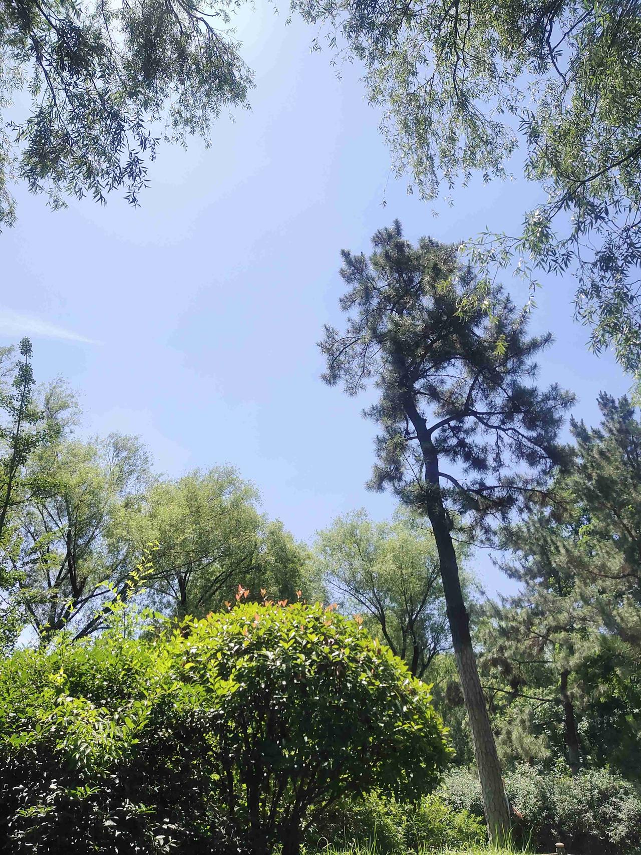 我的今日状态：😁轻松愉快
我这里的天气：☀️晴天