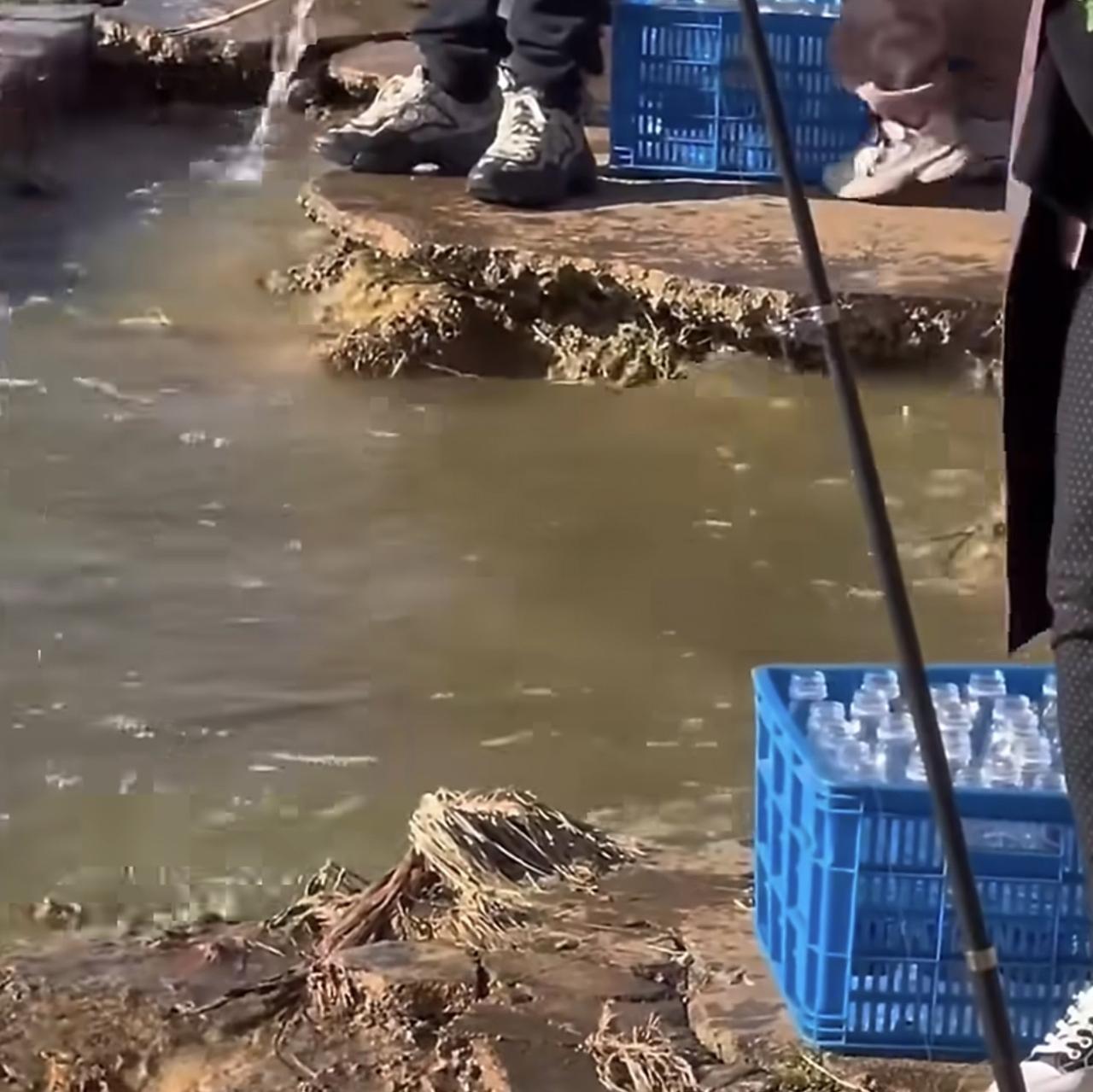 最近云南滇池出了件让人直挠头的事儿——一群人站在湖边，拧开矿泉水瓶就往水里倒，边