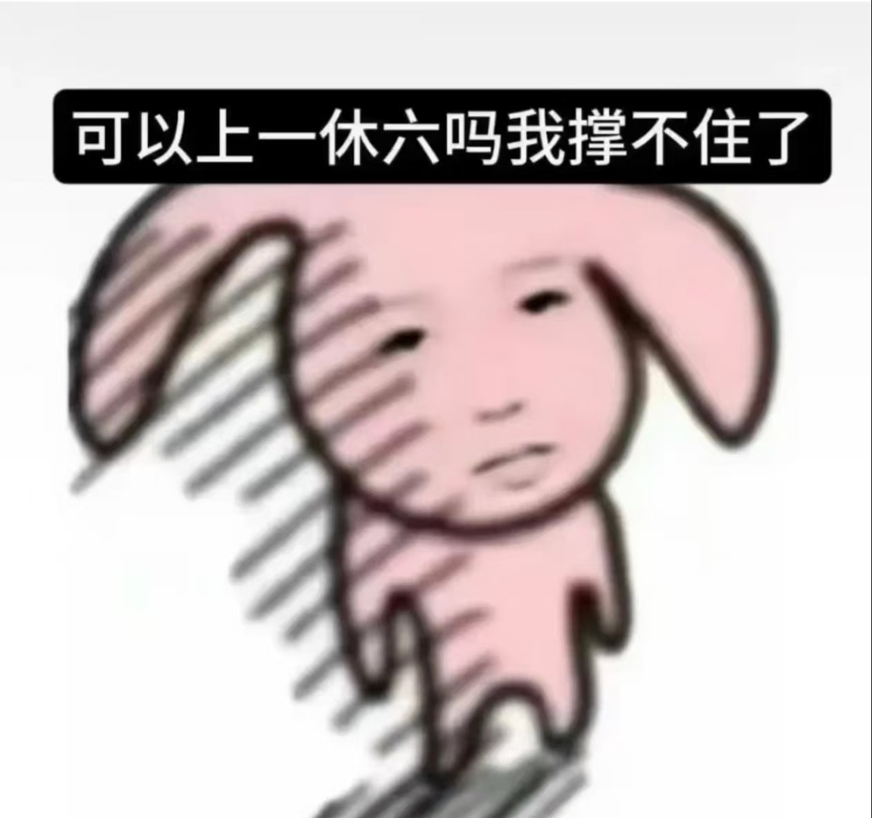 上班的意义就是让周末显得格外珍贵，俗称衬托 