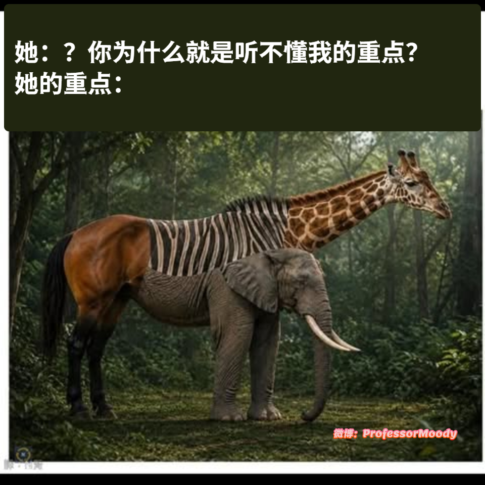 我晕了meme ​​​
