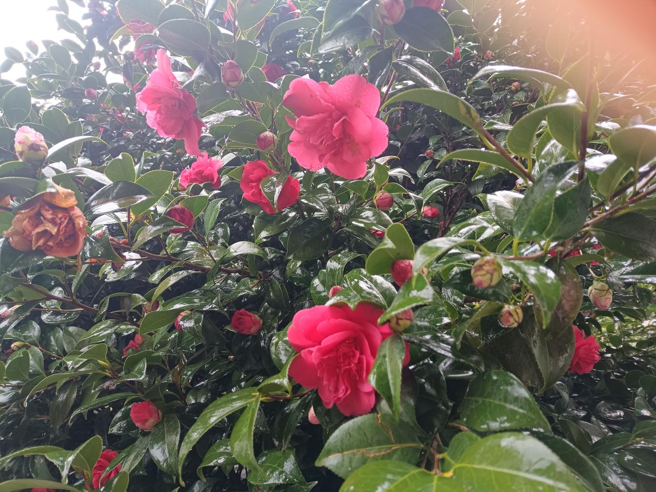 你认为属于你的幸福是什么