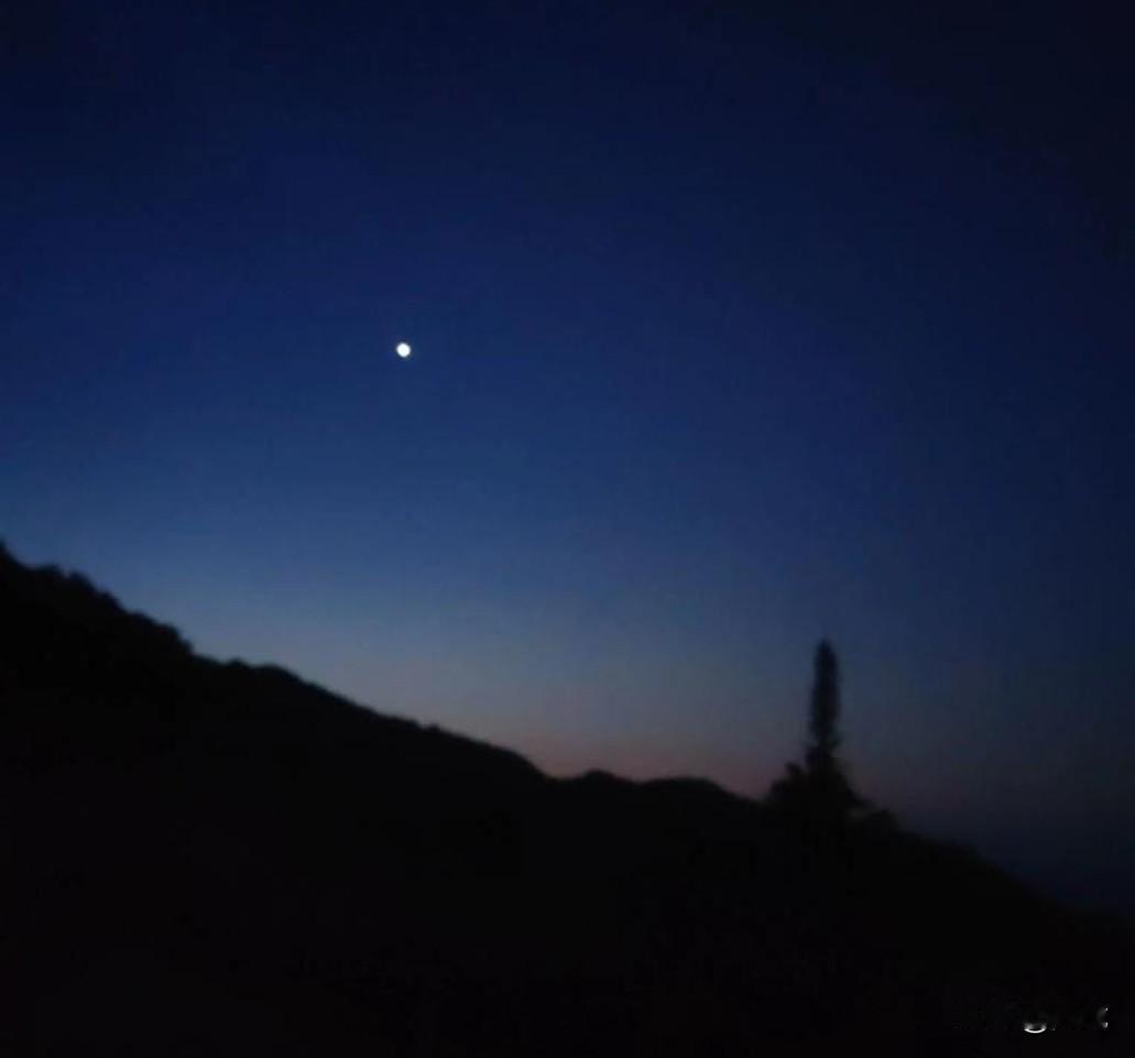 五更将尽，窗外还是泼墨般的黑，闹钟骤然响起。
我一个鲤鱼打挺翻身起来，扯开嗓子喊