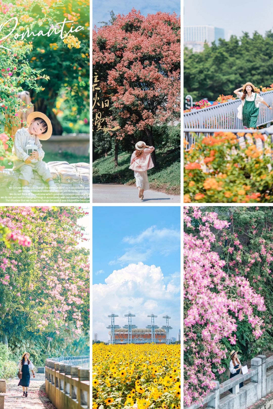 花开满城🌸🌼这样的广州你打多少分？