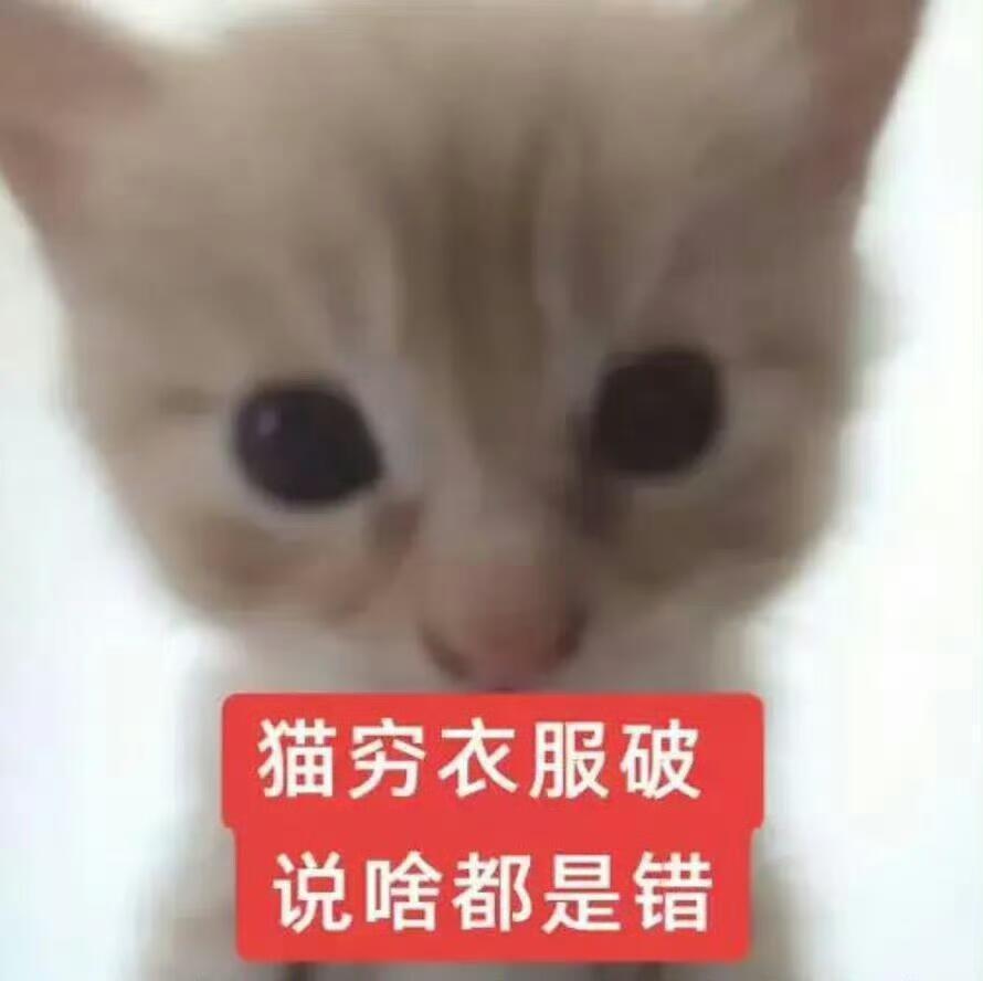 迪丽热巴  下雨天了怎么办 我的红裤衩独自在外怎么办啊淋湿了咋整 笨蛋裤衩早日回