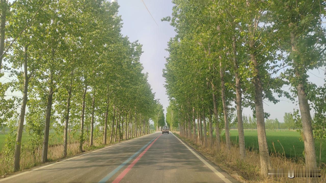 关于出轨，你怎么看出轨是一场道德和真爱的争夺战，是一场安稳和不确定性的持久战，是