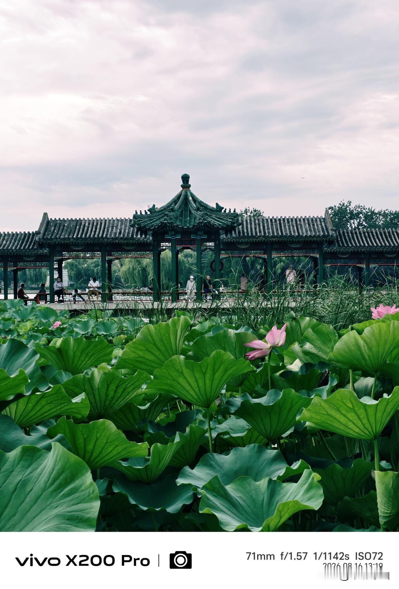 秋日的北京，天气凉爽了许多，周日逛龙潭湖公园，绿意盎然，随手一拍，养眼养心。北京