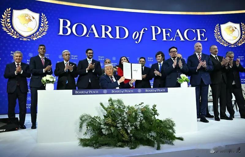 这次参加特朗普“和平委员会”的国家都有一个特点，首先都是小国，其次就是在地区和国