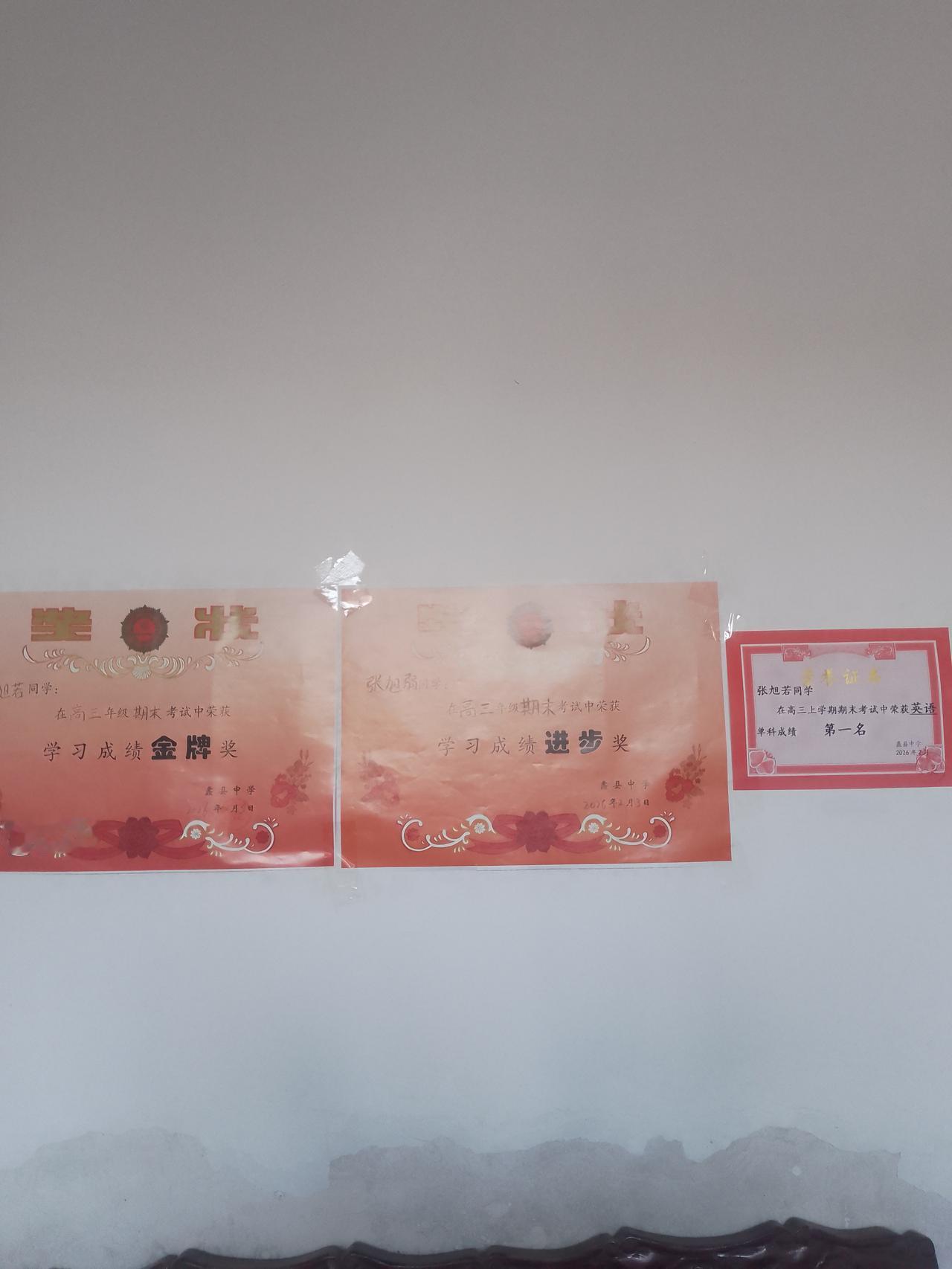 贺孙女张旭若获奖
 
金牌进步榜头名，不负寒窗十载耕。
笔底才高追日月，胸中志远