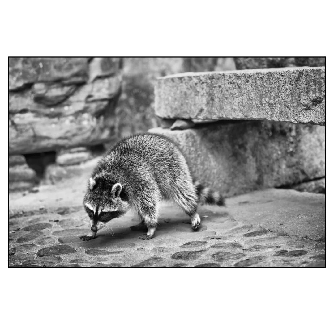 皖山赣水闽海阔 一路驰往彩云南（33）
11月6日 上午从黄山市出发，本打算去依